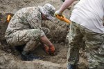 Сотни гигантских рисунков: археологи прикоснулись к тайне неизвестной цивилизации