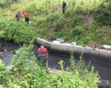 В київському озері почорніла вода - зливали мазут, як в унітаз