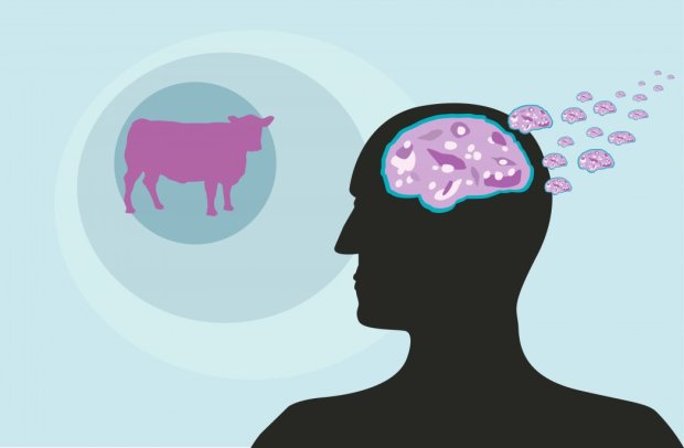 Спіймано вбивцю білків: коров'ячий сказ навчилися діагностувати по шкірі