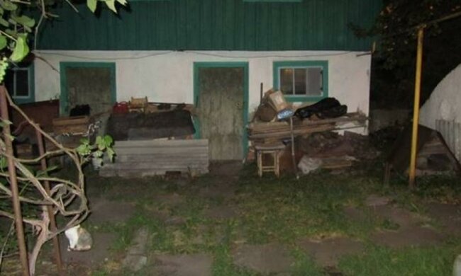 Київський грабіжник побив жінку через велосипед