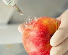 Торговые точки скроют наличие ГМО в продуктах