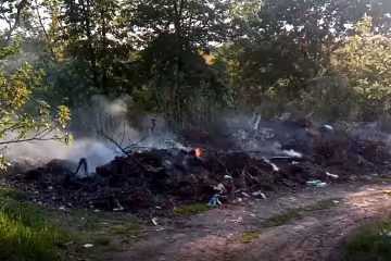 Скрин, видео