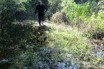 Киевлянин застрял в болоте в двух шагах от дома, звал на помощь всю ночь: отозвалась смерть
