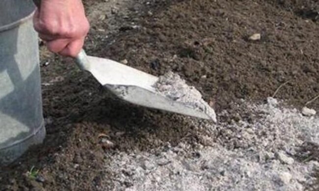 Зола, скриншот: YouTube