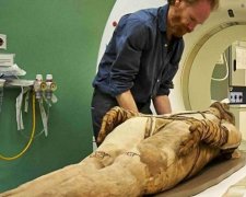 Находка в печени мумии поразила ученых