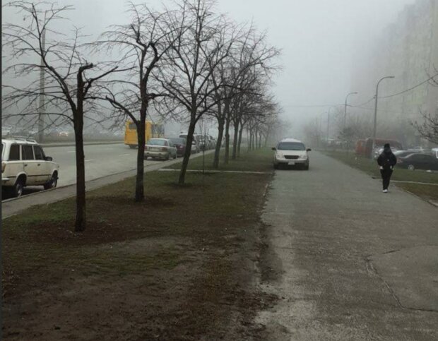 Украинцы, туман, кадр из видео