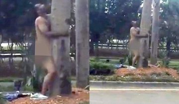 Чоловік зайнявся сексом з деревом