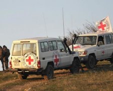 Красный Крест придумал, как урегулировать конфликт на Донбассе