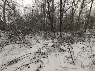 Зима, мороз - фото Знай.ua