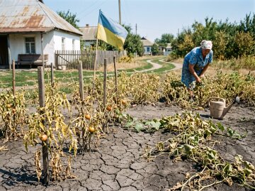 посуха город суха земля врожай