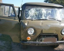 Браконьєри побили лісників і відібрали у них рушниці (фото)