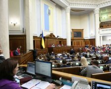 У Раді раптово з'явився дикий гість, нардепи під враженням: "Навіть мене такий здивував"