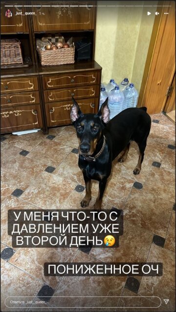 Анастасия Покрещук, скриншот: Instagram Stories