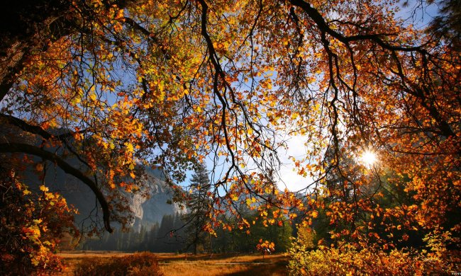 Погода на 17 октября: нас ждет совсем не осеннее тепло