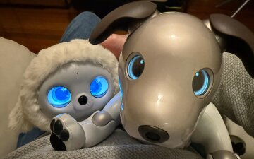 ШІ іграшки. Фото: robotsaroundthehouse.com