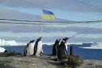 Запрет цирков и дельфинариев: в Антарктиде впервые состоится Всеукраинский марш за животных