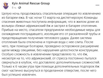 Публікація Kyiv Animal Rescue Group: Facebook