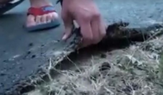 Привет Укравтодору: житель Буковины оторвал рукой кусок асфальта