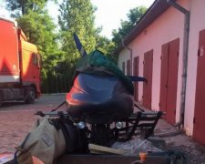 Силовики задержали "летучих" контрабандистов