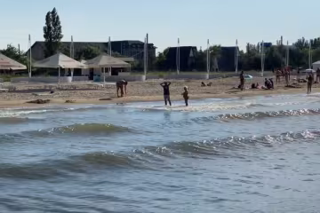 З Кирилівки різко зникли медузи, сміливо пірнайте в море - жалити нікому