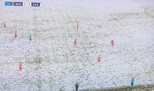 футболісти на полі, фото з вільних джерел