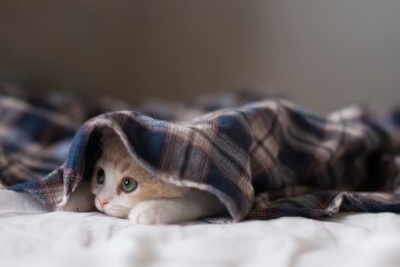 Лікарні, дитсадки та школи відключать від найважливішої комунальної послуги