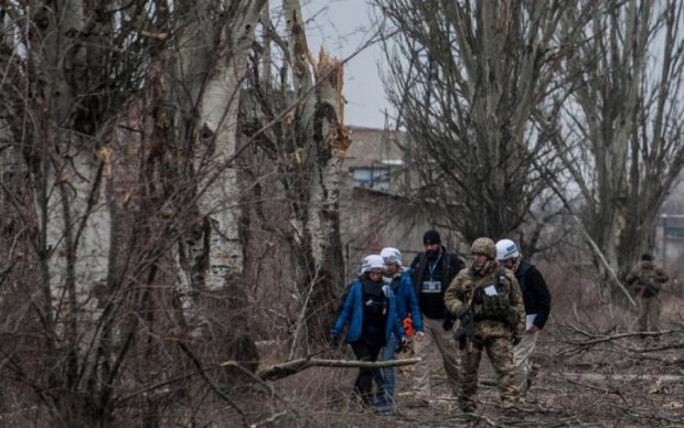 Залякують ОБСЄ: Путіна попросили притримати псів на Донбасі