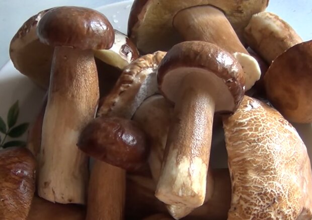 Маринование грибов, скриншот: YouTube