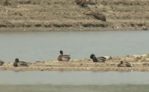 У Криму почалися проблеми з водою, скріншот з відео