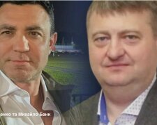 Тень Кремля над Карпатами: как псевдоэкологи саботируют зеленую энергетику