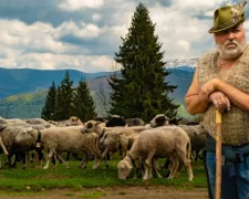 Доплата 20% к пенсии для жителей горных районов