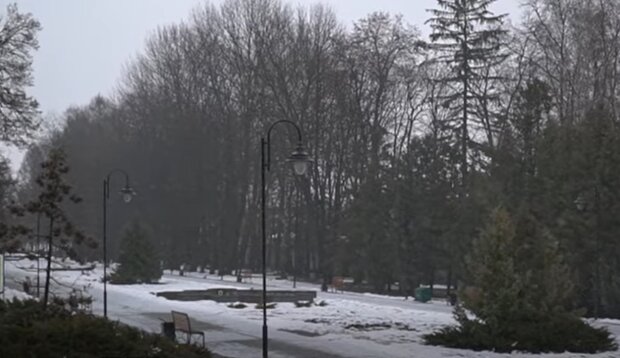 Погода зимой, кадр из видео