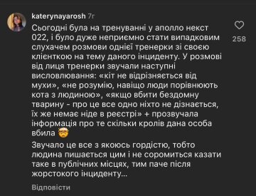 Коментар до посту / фото: скріншот Instagram