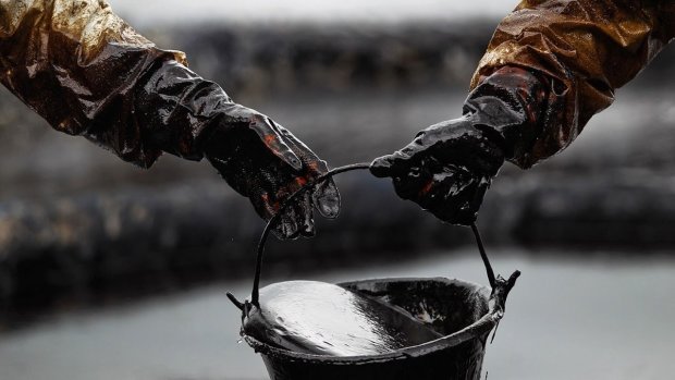 Техногенна катастрофа на Закарпатті: масштабний витік нафти, мільйонні збитки