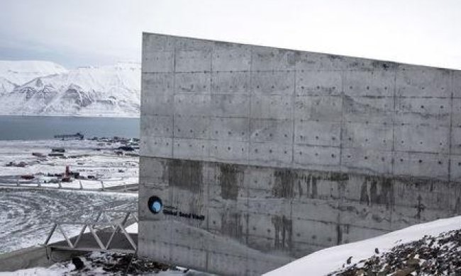 На випадок Апокаліпсису у Арктиці збудували сховище насіння (відео)