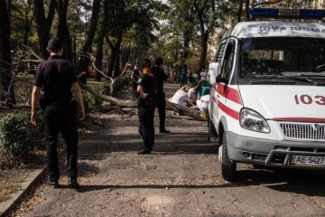 Суха гілка спровокувала трагедію в Дніпрі