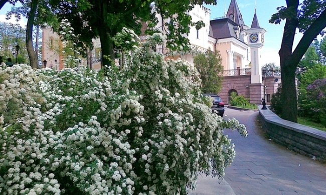 Погода на 6 апреля: в субботу украинцам будет жарко