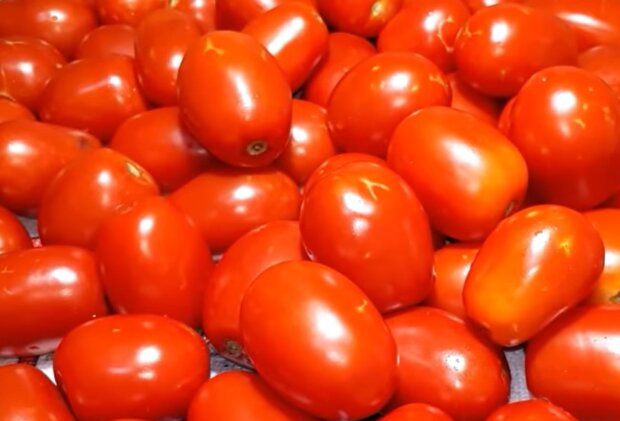 Как приготовить помидоры в снегу с чесноком на зиму на 1 литровую банку