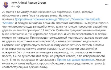 Публікація Kyiv Animal Rescue Group: Facebook