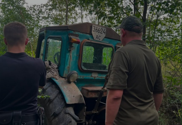 Малинська міська рада заплатить понад 1,8 мільйона гривень за спиляні дуби: екоінспекція виграла апеляцію