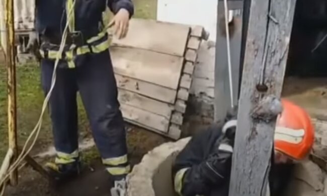Скрін, відео YouTube