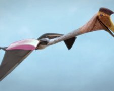 Археологи знайшли невідомий вид динозаврів