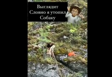 спасение собаки, скриншот с видео