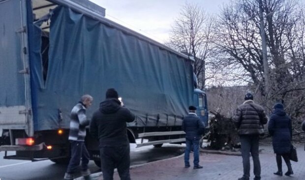 У центрі Хмельницького навіжена фура з коренем вирвала дерево – ледь не постраждала дитина