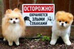 Фото з відкритих джерел