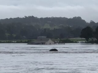 Повінь у Австралії, кадр з відео