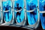 Вчені наблизились до мрії про кріоконсервацію