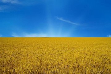 К чему бы вы привели Украину?