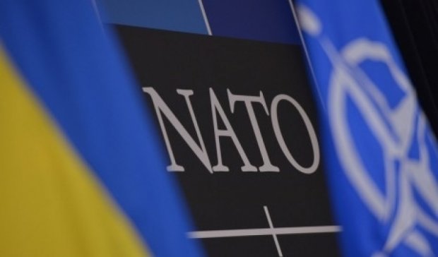  Україна не готова до НАТО - дипломат