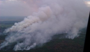 У чорнобильській зоні гасять пожежу площею у 130 гектарів